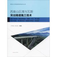 西南山区煤与瓦斯突出隧道施工技术 王明慧,张忠爱 编著 著作 专业科技 文轩网