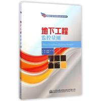 地下工程监控量测(国家骨干高等职业院校建设成果教材) 毛红梅//贾良 著作 大中专 文轩网
