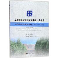 阜阳师范学院国家培训项目成果集 丁智勇 主编 文教 文轩网