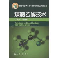 煤制乙醇技术 丁云杰 等 著 丁云杰 等 编 专业科技 文轩网