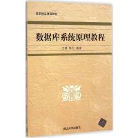 数据库系统原理教程 王珊,陈红 编著 著 著 专业科技 文轩网