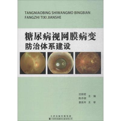 糖尿病视网膜病变防治体系建设 沈丽君,陈亦棋 主编 生活 文轩网