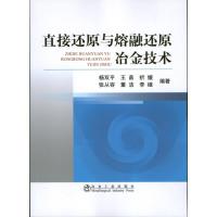 直接还原与熔融还原冶金技术 杨双平 等 著作 专业科技 文轩网