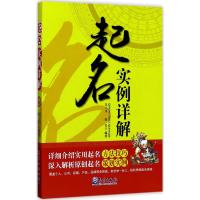 起名实例详解 毛上文,温芳 编著 著 经管、励志 文轩网