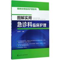 图解实用急诊科临床护理 马佳英 主编 生活 文轩网