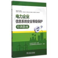 电力企业信息系统安全等级保护培训教材 山东省电力企业协会 组编;山东省网信信息安全与信息化技术中心 编著 著 专业科技