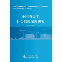 中国农民工社会保障制度研究 张太宇 著 经管、励志 文轩网