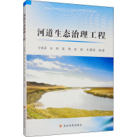 河道生态治理工程 刁艳芳 等 编 专业科技 文轩网