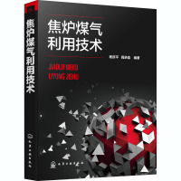 焦炉煤气利用技术 杨跃平,阎承信 编 专业科技 文轩网