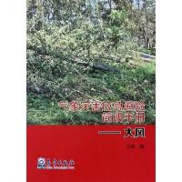 大风/气象灾害应急避险简明手册 历象 著 专业科技 文轩网