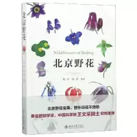 北京野花 杨斧,杨菁 著 专业科技 文轩网