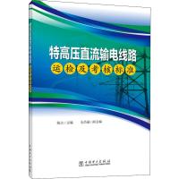 特高压直流输电线路运检及考核标准 陈立 编 专业科技 文轩网