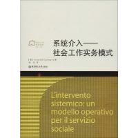 系统介入——社会工作实务模式 (意)安娜玛丽亚·坎帕尼尼(Annamaria Companini) 著 杨旭 译