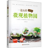 一起玩转Terrarium微观植物园 卢璇 著 卢璇 编 生活 文轩网