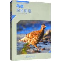 鸟类原色图谱 周材权,杨志松,何晓安 编 专业科技 文轩网