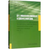 基于二维碳材料的聚合物阻燃技术:从石墨层间化合物到石墨烯 韩志东 著 专业科技 文轩网