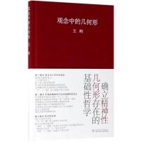 观念中的几何形 王昀 著 王昀 编 艺术 文轩网