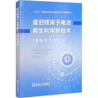 废旧锂离子电池再生利用新技术 董鹏,孟奇,张英杰 著 专业科技 文轩网