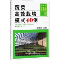 蔬菜高效栽培模式40例 编者:张爱民 著 张爱民 编 专业科技 文轩网