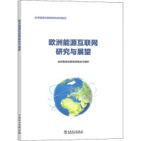 欧洲能源互联网研究与展望 全球能源互联网发展合作组织 著 专业科技 文轩网