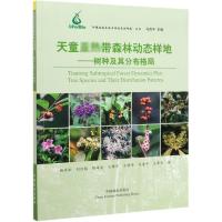 天童亚热带森林动态样地——树种及其分布格局 杨庆松 等 著 专业科技 文轩网