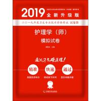 护理学(师)模拟试卷 全新升级版 2019 梁春光 著 梁春光 编 生活 文轩网