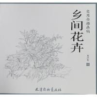 乡间花卉 曹泽松 著 魏燕 那欣 编 艺术 文轩网