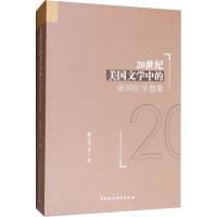 20世纪美国文学中的帝国医学想象 蒋天平 等 著 文学 文轩网