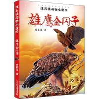 沈石溪动物小说绘 雄鹰金闪子 沈石溪 著 少儿 文轩网
