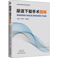 尿道下裂手术图解 刘中华,范志强 编 生活 文轩网