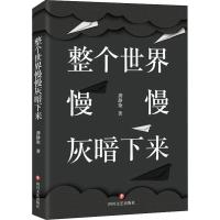 整个世界慢慢灰暗下来 龚静染 著 文学 文轩网