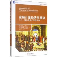 金融计量经济学基础 工具、概念和资产管理应用