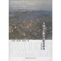 大城市空间布局框架研究——以武汉市为例 王智勇,林小如,黄亚平 著 专业科技 文轩网