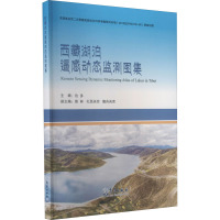 西藏湖泊遥感动态监测图集 边多 编 专业科技 文轩网
