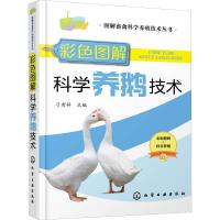 彩色图解科学养鹅技术 刁有祥 主编 著 刁有祥 编 专业科技 文轩网