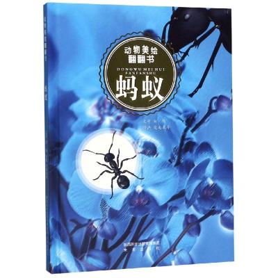 蚂蚁/动物美绘翻翻书 刘鹤 著 少儿 文轩网