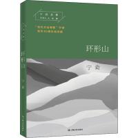 环形山 宁肯 著 文学 文轩网