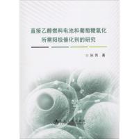 直接乙醇燃料电池和葡萄糖氧化所需阳极催化剂的研究 孙芳 著 专业科技 文轩网