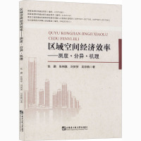 区域空间经济效率——测度·分异·机理 张鹏 等 著 经管、励志 文轩网