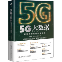 5G大数据 数据资源赋能中国经济 盘和林,邓思尧,韩至杰 著 经管、励志 文轩网