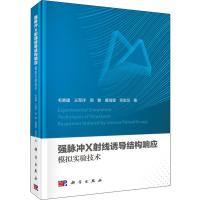 强脉冲X射线诱导结构响应模拟实验技术 毛勇建 等 著 专业科技 文轩网