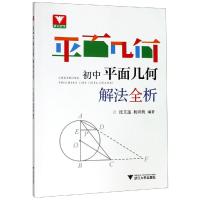 初中平面几何解法全析 沈文选 著 文教 文轩网