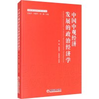 中国中观经济发展的政治经济学 高煜 等 著 经管、励志 文轩网