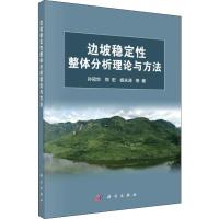 边坡稳定性整体分析理论与方法 孙冠华,郑宏,杨永涛 等 著 专业科技 文轩网