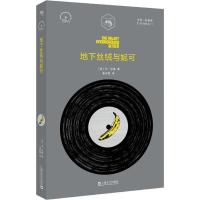 地下丝绒与妮可 (美)乔·哈佛(Joe Harvard) 著 姜亦朋 译 文学 文轩网