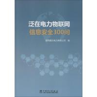 泛在电力物联网信息安全300问 国网冀北电力有限公司 编 专业科技 文轩网