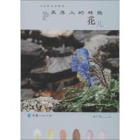 高原上的那些花儿 龙仁青 著 文学 文轩网