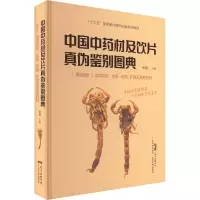中国中药材及饮片真伪鉴别图典(第4册) 张继 编 生活 文轩网