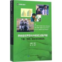 养老金世界变化中的名义账户制 (奥)罗伯特·霍尔茨曼(Robert Holzmann) 等 主编;郑秉文 等 译