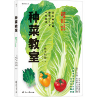 种菜教室 (日)板木利隆 著 曾磊,张艳辉 译 生活 文轩网